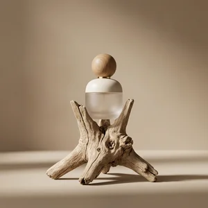 Natural beauty on driftwood