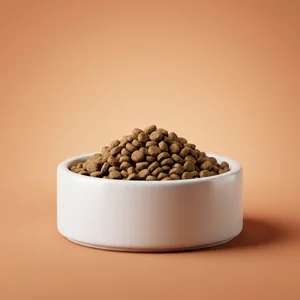 Premium pet kibble bowl