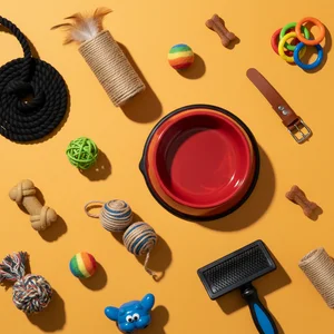 Colorful Pet Essentials Flat Lay