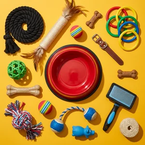 Colorful Pet Essentials Flat Lay