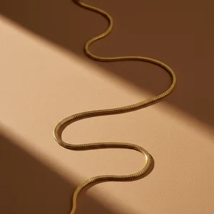 Gold chain on warm backdrop