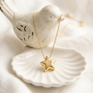 Gold star necklace on ceramic bird