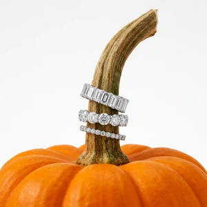 Sparkling rings on a pumpkin stem