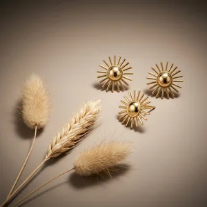 Gold sunburst earrings on beige