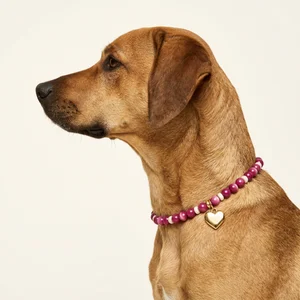 Elegant beaded dog collar profile
