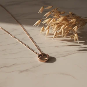 Minimalist gold circle necklace