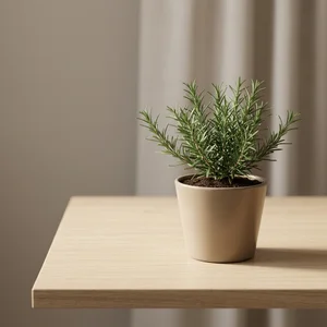 Potted rosemary on a light wood desk