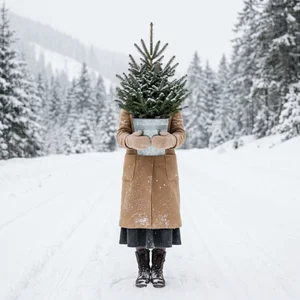 Surreal winter tree carrier