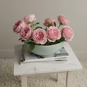 Healthy Cookbook & Salad Scene