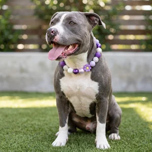 Cute dog in purple beaded collar