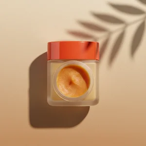 Playful Wooden Toy Car