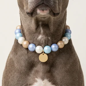 Bead pet collar on dog