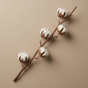 Minimalist dried cotton stem
