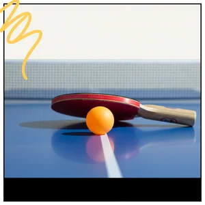 Ping Pong Learning Guide
