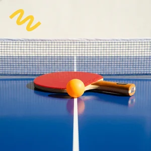 Ping Pong Learning Guide