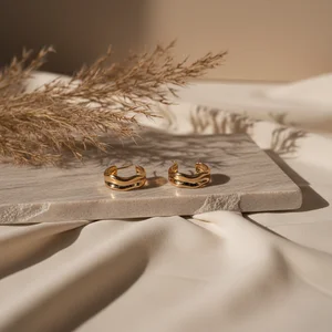 Elegant Gold Hoop Earrings