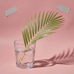 Tropical pink oasis