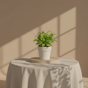 Serene Indoor Plant Scene