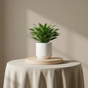 Potted plant on draped table