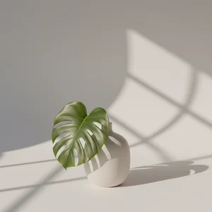 Minimalist Plant Shadow Play
