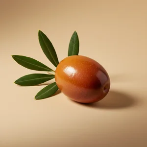 Minimalist olive branch on beige