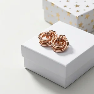 Elegant Hoop Earrings