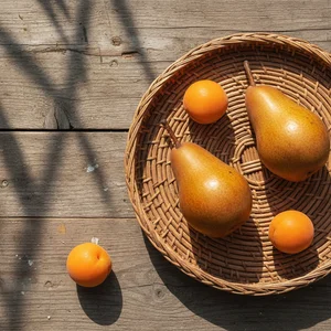 Sunny Citrus Harvest