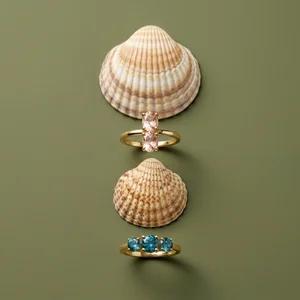 Natural jewelry display with shells