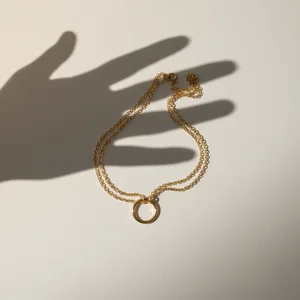 Delicate Golden Necklace Shadow