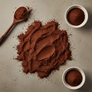 Rich Cocoa Indulgence