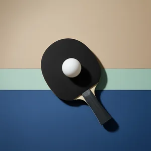 Ping pong paddle minimalist