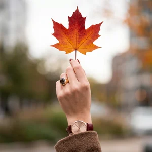 Autumn accessories with maple leaf