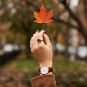 Autumn watch and ring presentation