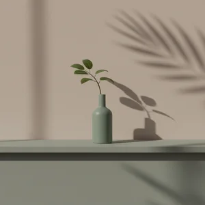 Minimalist decor with plant