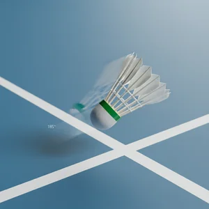 Dynamic shuttlecock shot