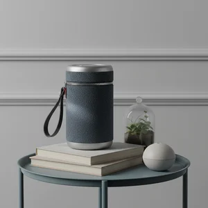 Modern grey speaker on books