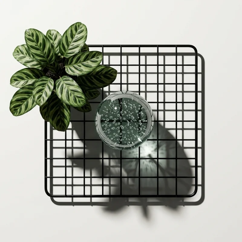 Minimalist green tech aesthetic
