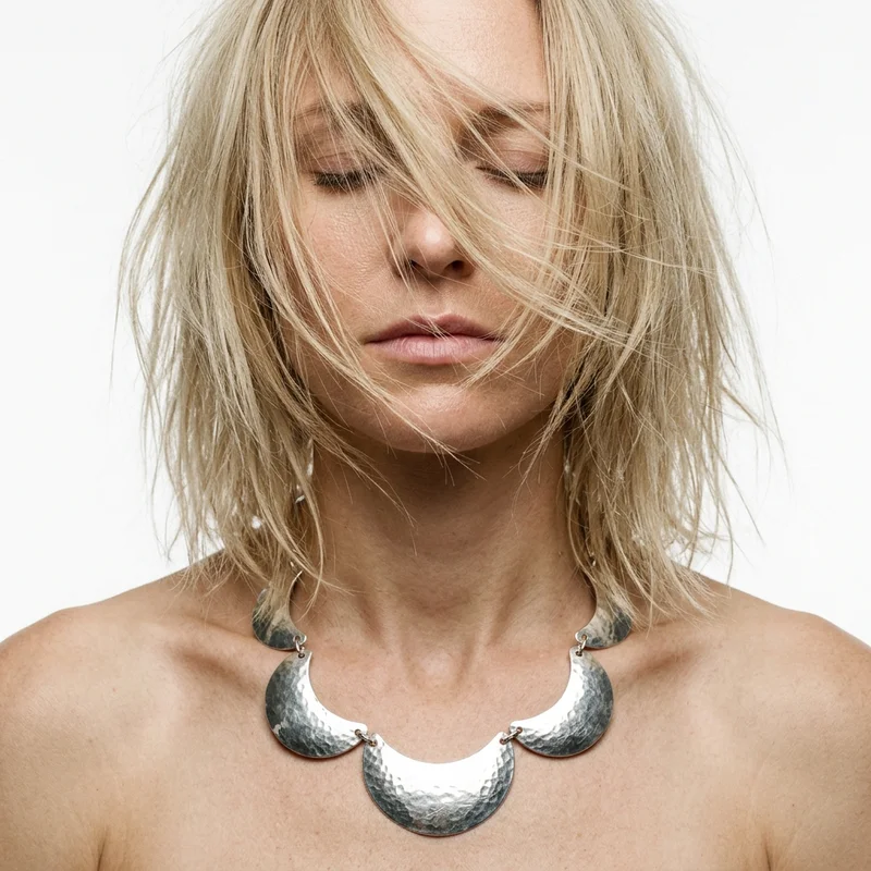 Hammered silver statement necklace