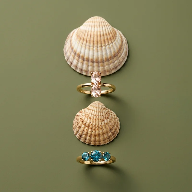 Natural jewelry display with shells