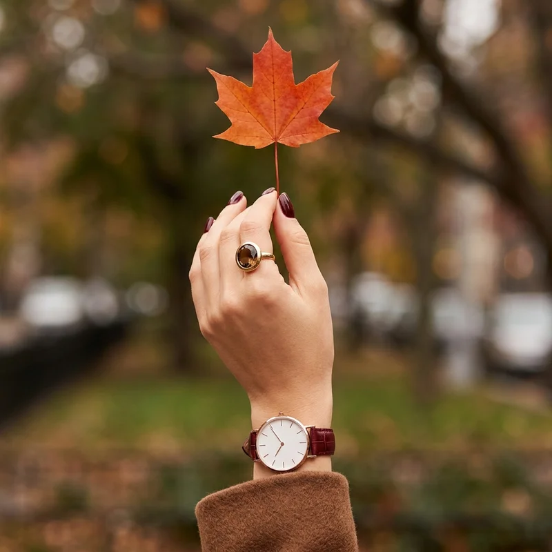 Autumn watch and ring presentation
