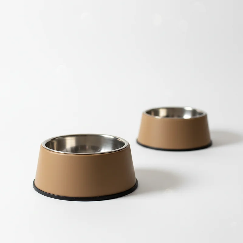 Modern Pet Feeding Bowl